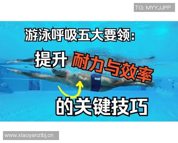 创新游泳教学法：全面提升技巧与耐力的系统化训练方案