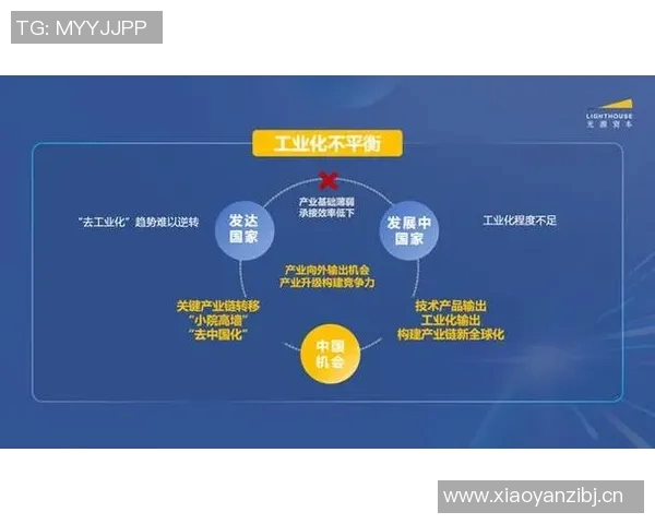竞技体育的全球化趋势与发展：挑战、机遇与未来展望