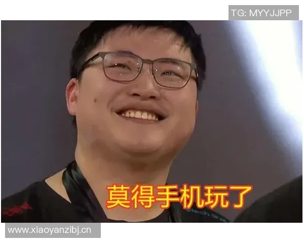 城市赛特别报道：IG战队的拼搏历程与荣耀时刻回顾