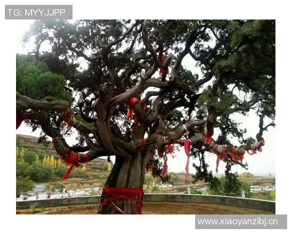 和平精英战场传奇IG战队逆袭之路全景纪实