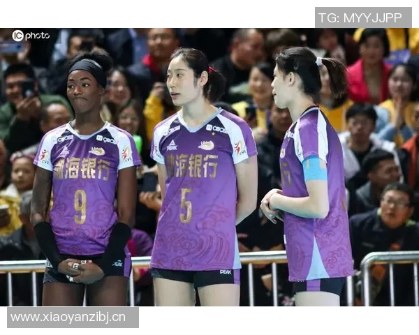 北京排球队个人能力深度对比分析与发展潜力探讨