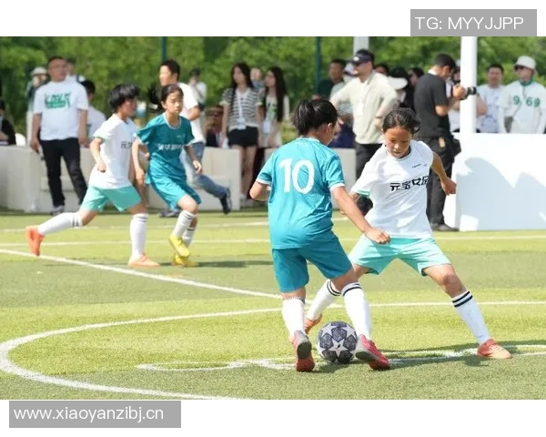 北京足球队区域防守战术解析与实战应用探讨