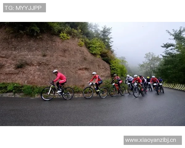 极限运动赛后分析重庆与南京队意识碰撞的深度解读