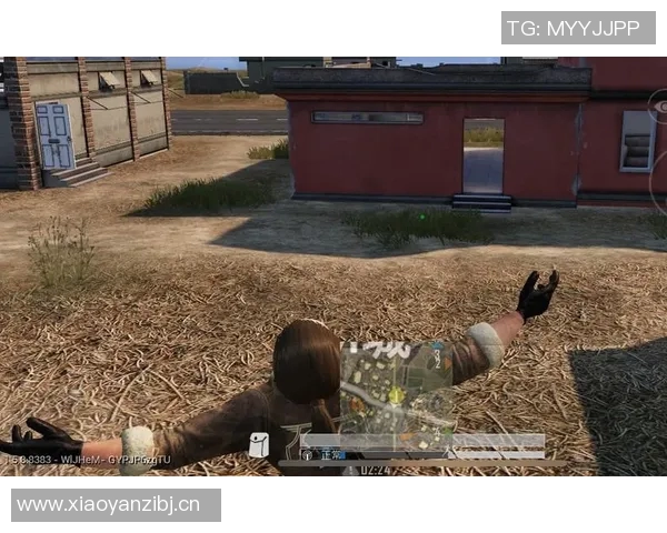 和平精英战术解析：LNG战队的灵活转换体系与实战应用探讨