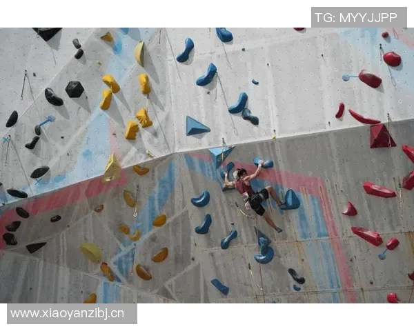 广州攀岩队在攀岩节奏排行榜中荣获第七名的佳绩引发关注 广州攀岩队在攀岩节奏排行榜中荣获第七名的佳绩引发关注
