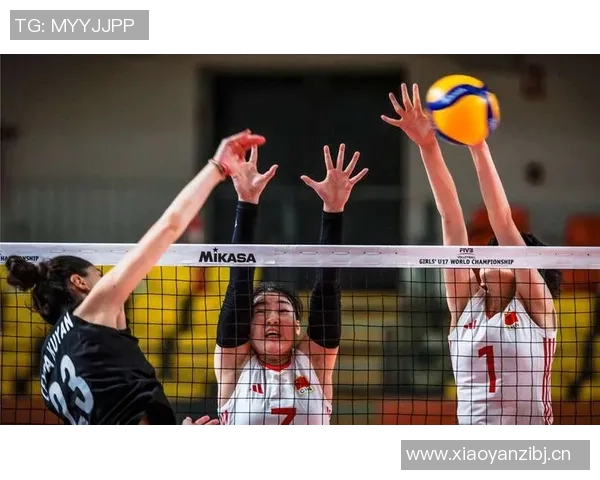 杭州排球队展现卓越团队协作能力荣获全国排球团队协作排名新高