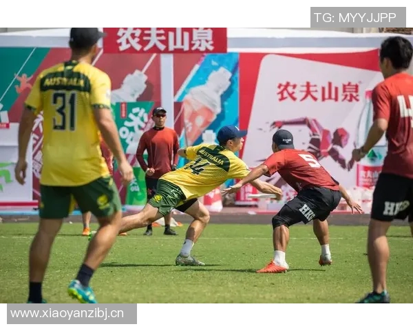 飞盘运动中的团队精神成都飞盘队协作之道探秘 飞盘运动中的团队精神成都飞盘队协作之道探秘