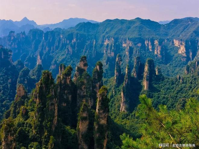 户外运动张家界五天四晚旅游攻略｜家庭程摆设含天门山+丛林公园(图4)