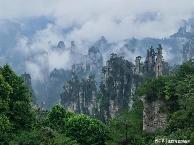 户外运动张家界五天四晚旅游攻略｜家庭程摆设含天门山+丛林公园(图5)